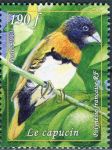 (2013) MiNo. 1221 ** - Fr. Polynesia - Brown-breasted shorthair (Lonchura castaneothorax)