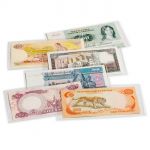Plastic Pockets for banknotes, BASIC 204  (204x123 mm), 50 pcs