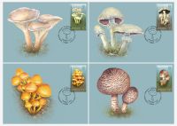 (2019) CM - MiNo.  ** - Kyrgyzstan - Poisonous Mushrooms of Kyrgyzstan
