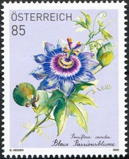 (2020) MiNr. 3510 ** - Austria - Subscription Stamp: Passionflower (Passiflora caerulea)