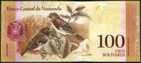 Venezuela (P 93h.1) - 100 bolivares (29.10.2013) - UNC