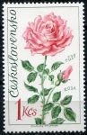 (1973) MiNo. 2148 ** - Czechoslovakia - Flóra Olomouc - Rose