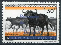 (1962) MiNr. 11 ** - Burundi - African Buffaloes - reprint