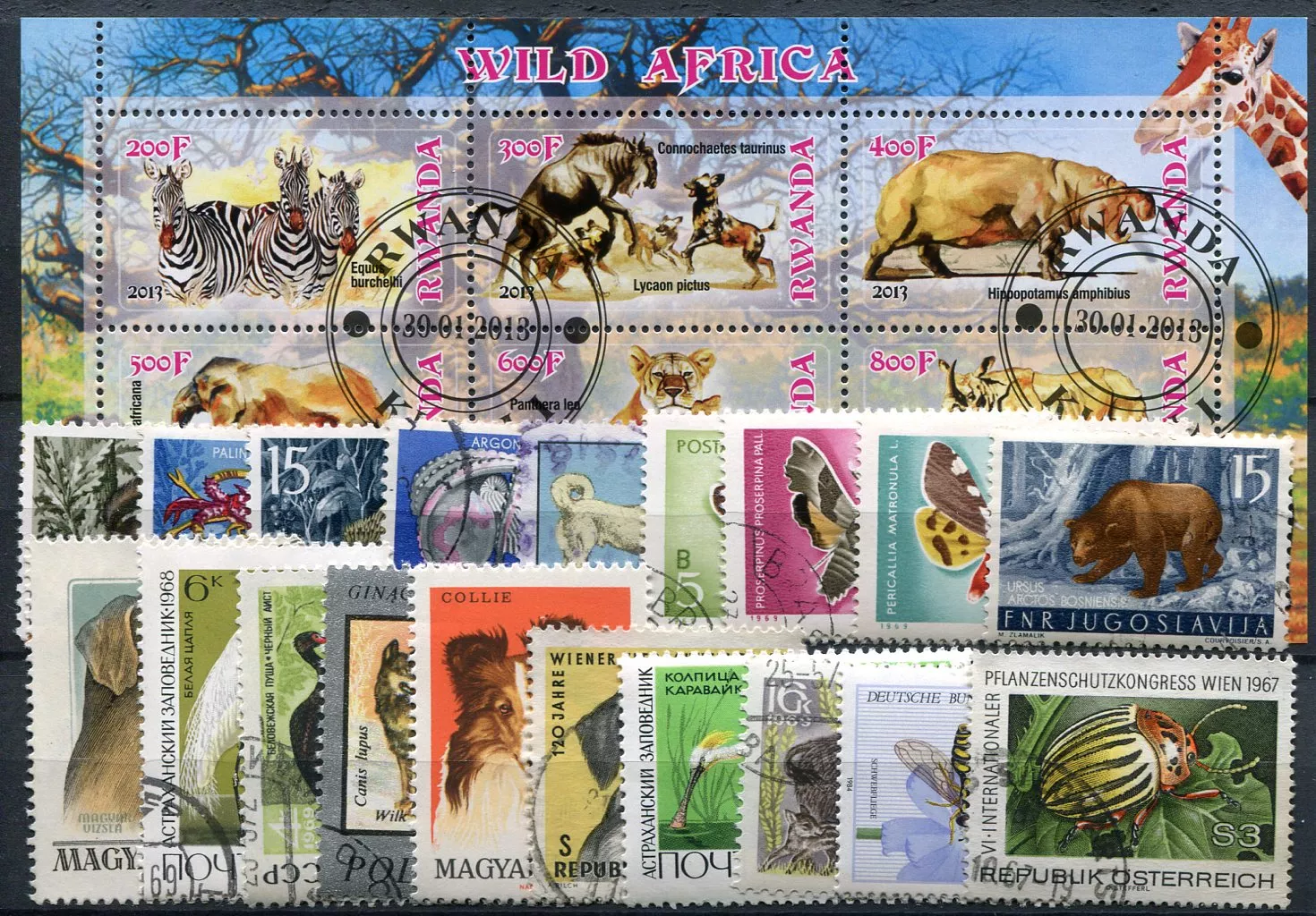 Stamp set - FAUNA - 25 pcs