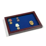 MILITARIA medal display case with glass lid