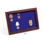 MILITARIA medal display case with glass lid